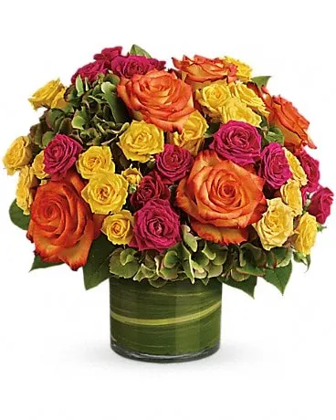 Deluxe size, 13 1/4 inches height and 13 inches wide.
