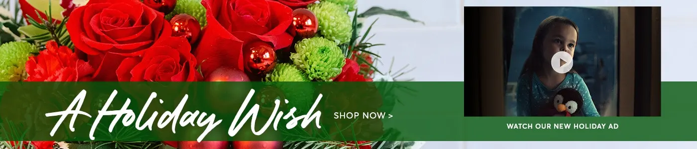 Homepage Banner for Christmas Flowers - video included. Christmas Flowers Deliver - Send Christmas Flowers