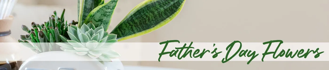 Father's Day Flowers Delivery - Send Father's Day Flowers