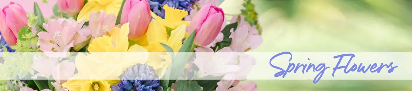Spring Flowers Delivery - Send Spring Flowers