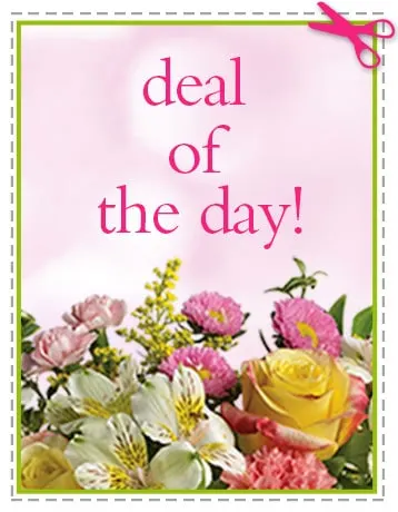 Send eal of the Day - Biggest Freshest Arrangement